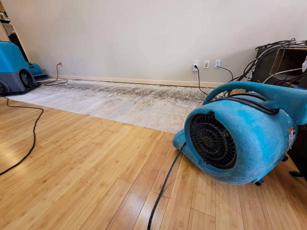 Professional Sewage Cleanup technician working in Morrisonville, NY